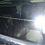 nina-agdaldi-caprio3