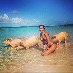 irina-shayk-pigs