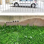 creative-interactive-street-art-2