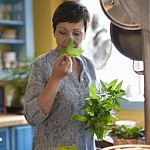 borziloku-bima-aromatike-q-euml-largon-trishtimin_hd