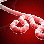 ka-nisur-testimi-n-euml-njer-euml-z-i-vaksin-euml-s-kund-euml-r-ebol-euml-s_hd