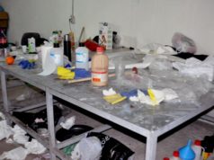 Pranvera Ebeling, gruaja qe drejtonte trafikun e droges