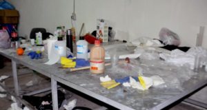 Pranvera Ebeling, gruaja qe drejtonte trafikun e droges