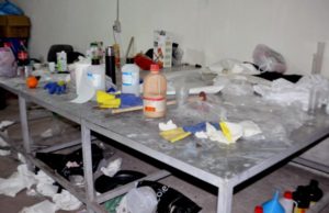 Pranvera Ebeling, gruaja qe drejtonte trafikun e droges