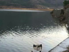 Koman, makina del nga rruga. Dy persona humbin jeten