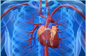 Aritmia e zemres, nga se shkaktohet?