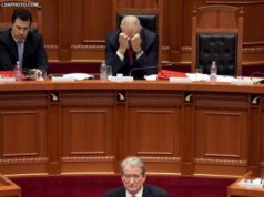 Anti-berishizmi si justifikim i tejzgjatur