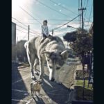 abstract-photoshop10