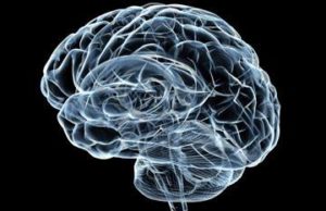 Ja si ta ruajmë kujtesën