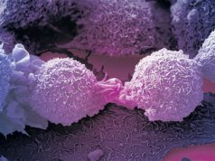 Shkencëtaret në Florida zbulojnë mënyrën e shërimit të kancerit