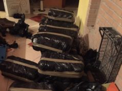 Durres, zbulohet nje laborator droge, te implikuar edhe biznesmene