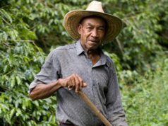 Fermeri Kolumbian gjen thesarin e Pablo Escobarit prej 600 milion Euro