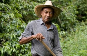 Fermeri Kolumbian gjen thesarin e Pablo Escobarit prej 600 milion Euro