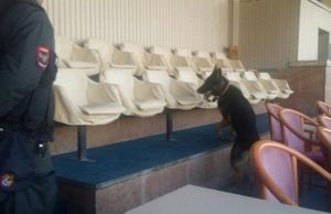 Shqiperi – France, 6-0, skandal me flamurin