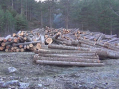 Moratoriumi i pyjeve, hyn zyrtarisht ne fuqi ligji