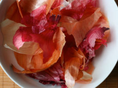 Levorja e qepes, vlerat kurative qe mbart