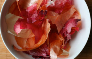 Levorja e qepes, vlerat kurative qe mbart