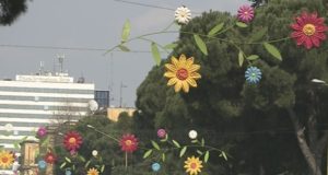 Tirane, ja aktivitetet per Diten e Veres