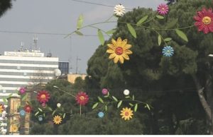 Tirane, ja aktivitetet per Diten e Veres