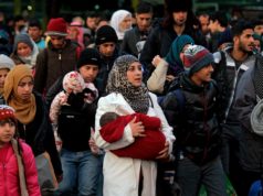 Refugjatet siriane shume prane kufirit shqiptar