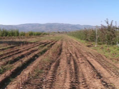 Qeveria shtyn afatin e pronesise per tokat e ish NB-ve