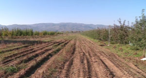 Qeveria shtyn afatin e pronesise per tokat e ish NB-ve