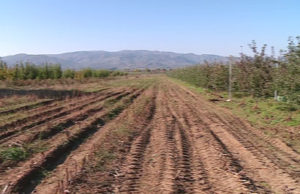 Qeveria shtyn afatin e pronesise per tokat e ish NB-ve