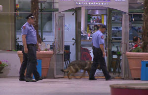 Kontrolle sigurie edhe ne Rinas