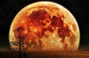 “Super Hena”, do te ndodhe me 14 nentor