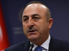 Vrasja e ambasadorit turk, reagon Turqia