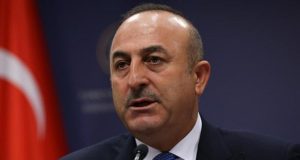Vrasja e ambasadorit turk, reagon Turqia
