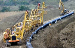 Gazsjellesi TAP, hiqen nga fondi i pyjeve dhe kullotave disa hektare