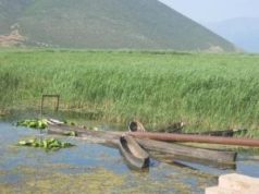 Liqeni i Prespes se Vogel drejt degradimit