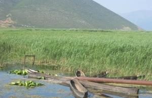 Liqeni i Prespes se Vogel drejt degradimit