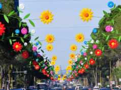 Bashkia Tirane: Dita e Veres mes luleve dhe ballokumeve