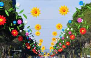 Bashkia Tirane: Dita e Veres mes luleve dhe ballokumeve