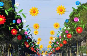 Bashkia Tirane: Dita e Veres mes luleve dhe ballokumeve