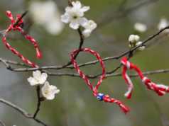 Dita e Veres ne Elbasan