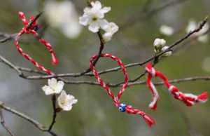 Dita e Veres ne Elbasan