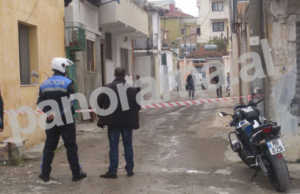 Krim brenda familjes, nipi vret gjyshen dhe me pas veten