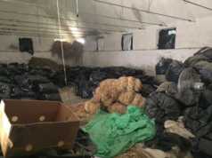 Aksioni i droges ne Permet. Si u dekonspirua aksioni i policise