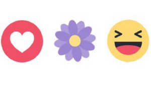 Facebook shton opsionin lule