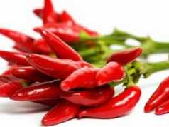 Speci djeges, sekreti per jete te gjate dhe te lumtur