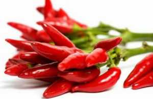 Speci djeges, sekreti per jete te gjate dhe te lumtur