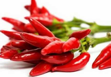 Speci djeges, sekreti per jete te gjate dhe te lumtur