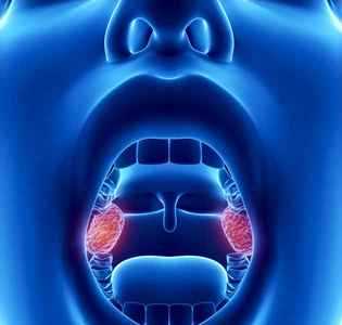 Mishi i huaj ne hunde dhe bajamet. Ja kur duhen operuar