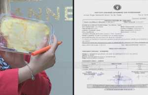 SKANDAL! Gjalpi dhe djathi qe hame perdite eshte me vaj palme