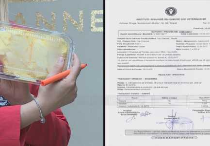 SKANDAL! Gjalpi dhe djathi qe hame perdite eshte me vaj palme