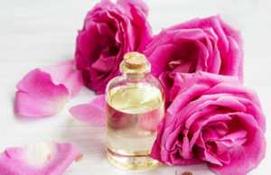 Uje trendafili, sekreti i bukurise