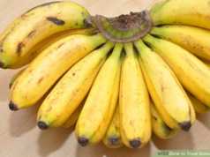 Semundjet e zorreve, koliti dhe salmonela. Ja nga se shkaktohen